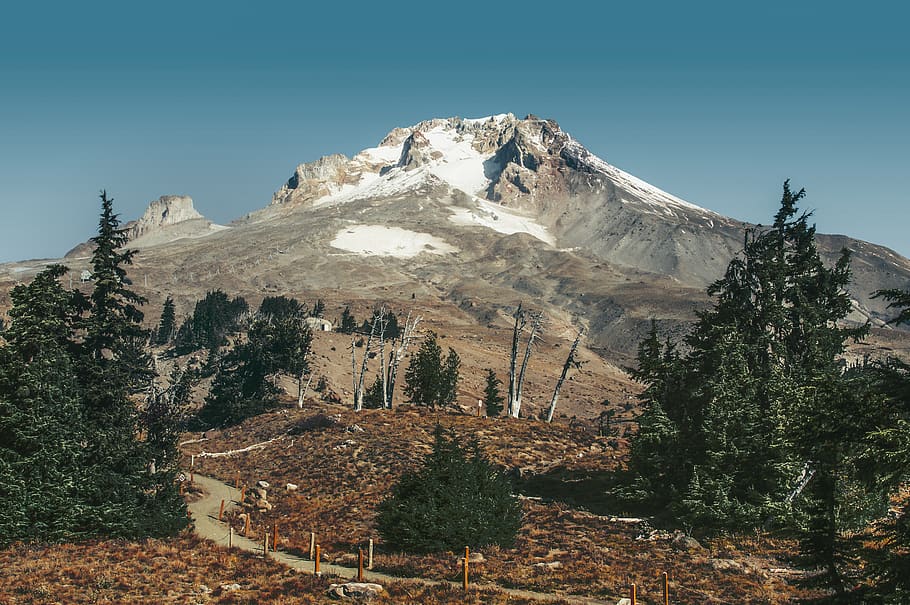 mountain, mount hood, oregon, landscape, pinetree, wood, sky, HD wallpaper