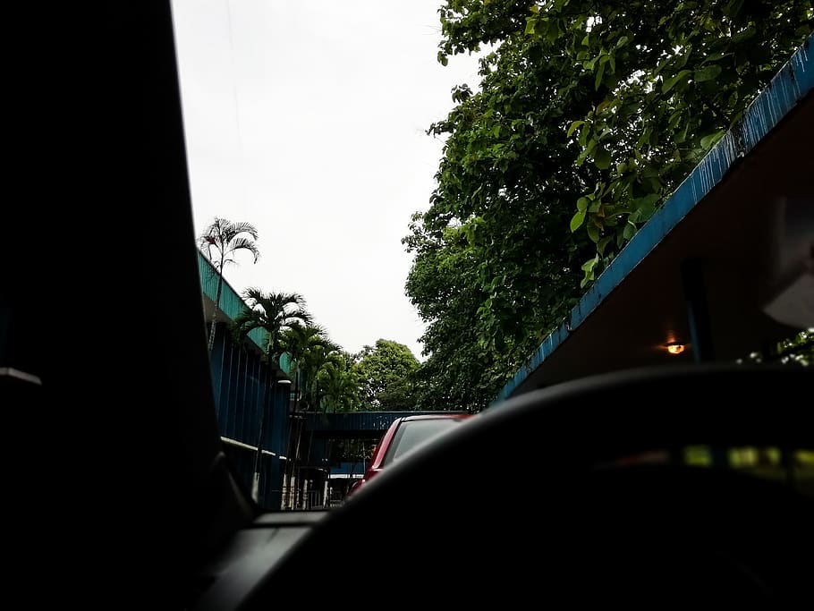 car, vehicle, panama, tree, trees, green, motor vehicle, mode of transportation HD wallpaper