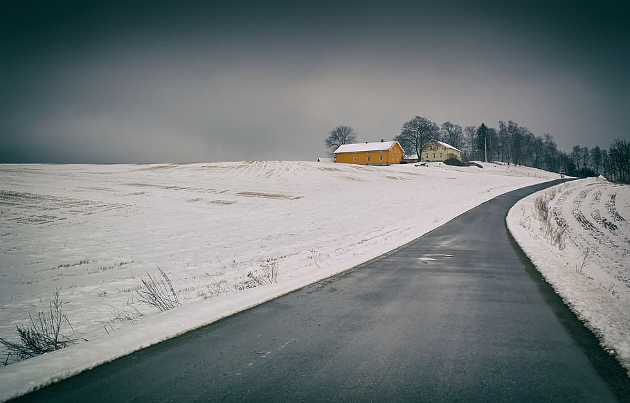 road surrounded by snow, norway, frogn municipality, nature, tree HD wallpaper