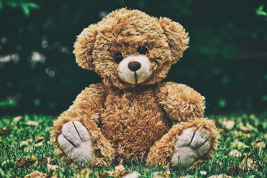 teddy, cute, soft toy, teddy bear, plush, stuffed animal, sweet HD wallpaper