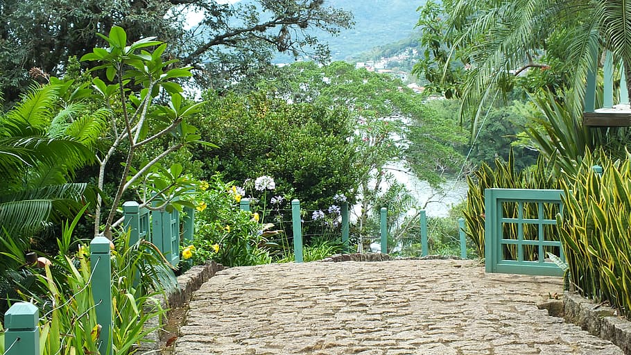 brazil, florianópolis, costa da lagoa guest house, vegetation, HD wallpaper