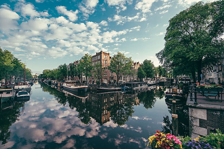 netherlands, amsterdam, water, built structure, architecture HD wallpaper