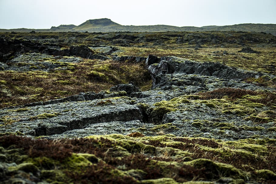 iceland, moss, green, scenics - nature, beauty in nature, rock HD wallpaper