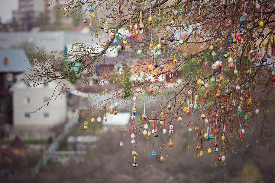 russia, vladimir, easter, egg, tree, branch, plant, flower HD wallpaper