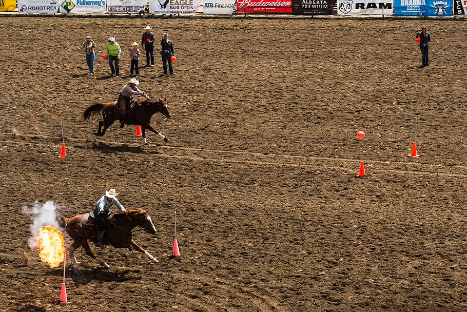 two men racing horseback riding, group of people, real people HD wallpaper