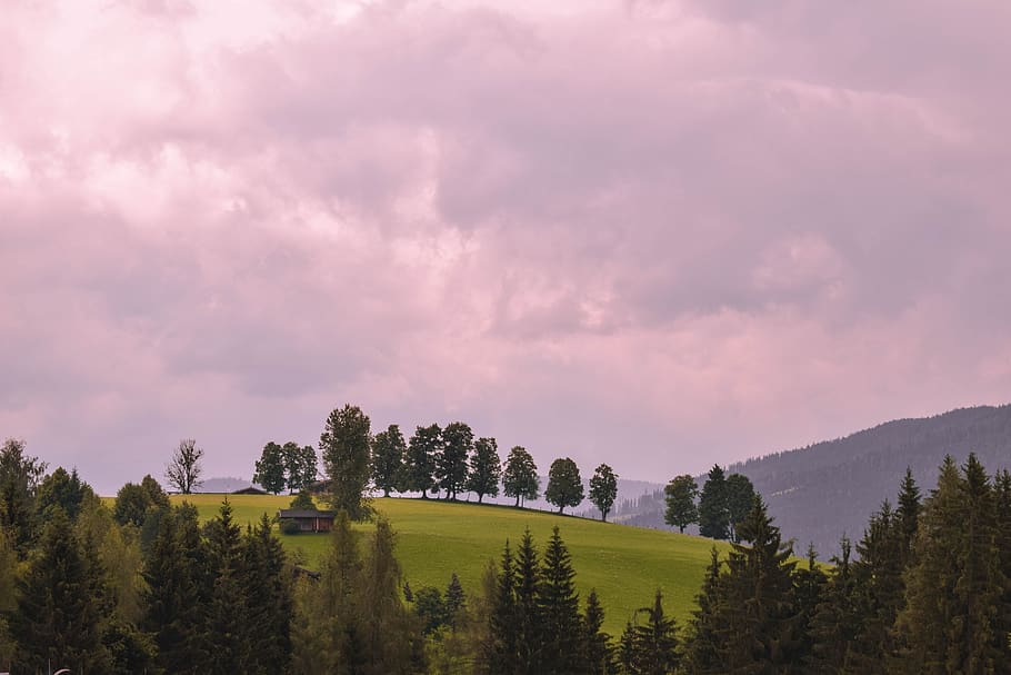 trees, hill, landscape, sky, clouds, austria, alpine, hiking HD wallpaper