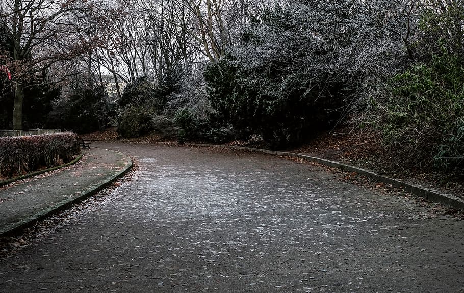 berlin, germany, schöneberg, trees, winter, walk, zing, frozen HD wallpaper