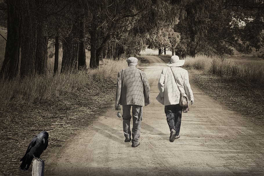 trail, path, elderly, walk, people, rear view, walking, tree HD wallpaper
