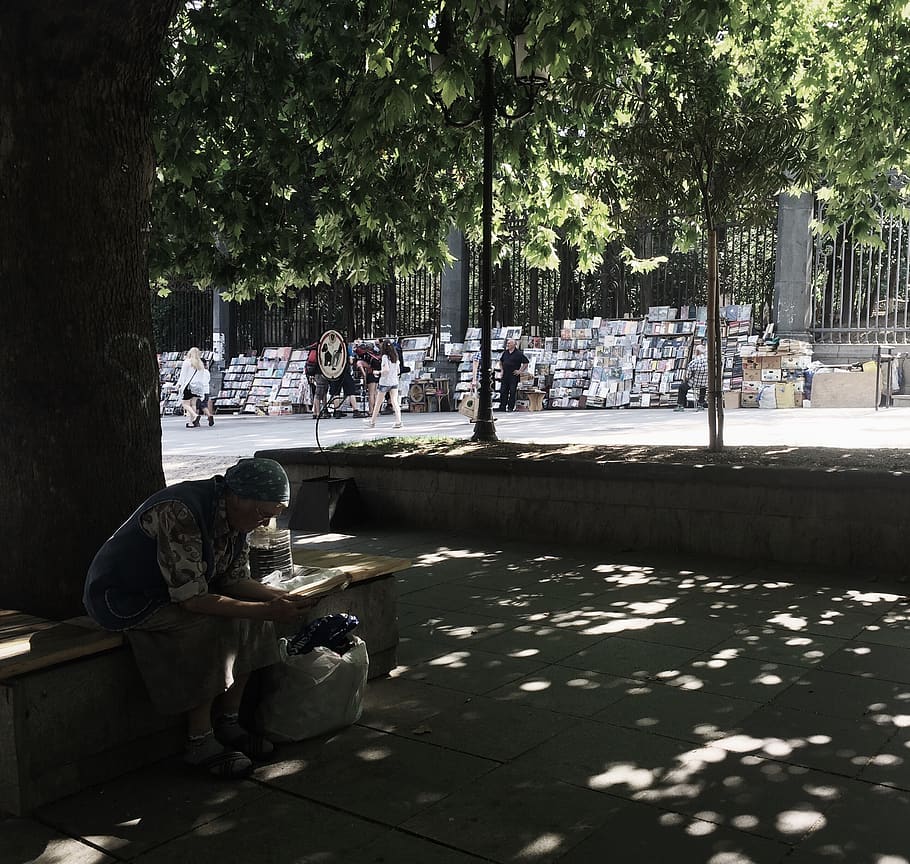 tbilisi, georgia, tree, books, old woman, people, plant, real people HD wallpaper