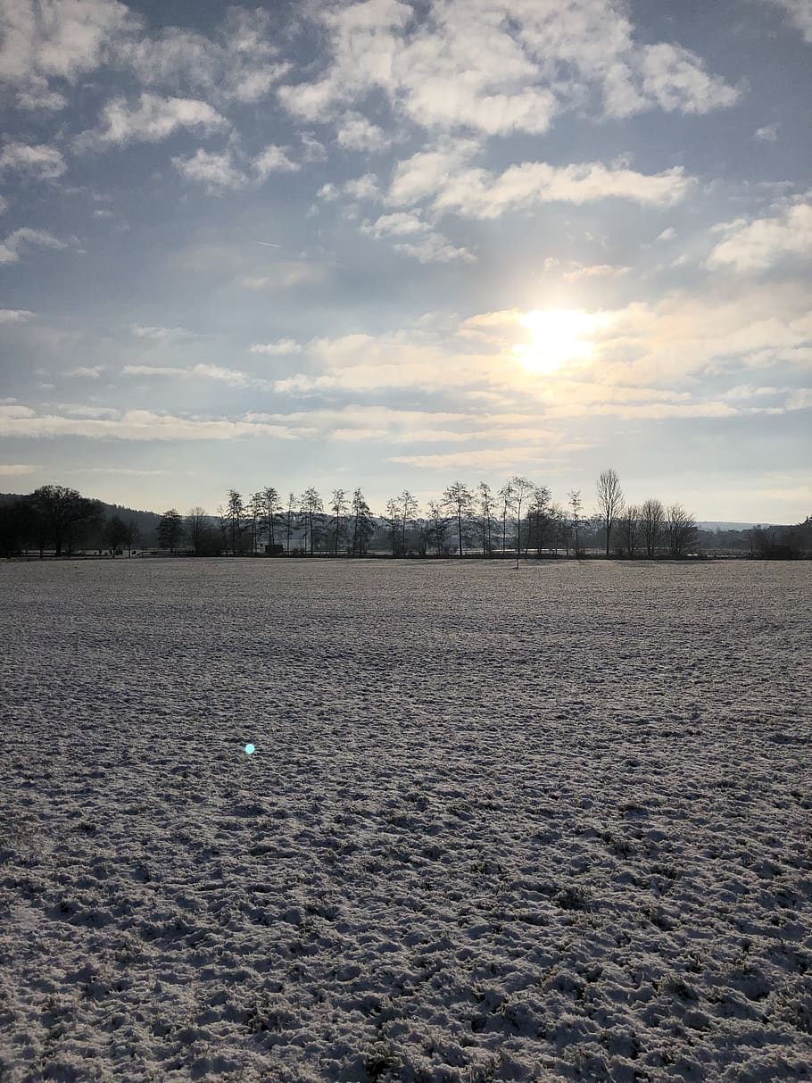 wintry, ice, winter, cold, snow, landscape, frost, winter magic HD wallpaper