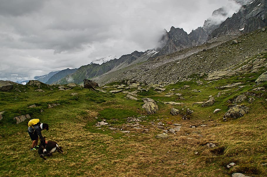 france, chamonix, alpes, explore, wild, nature, climb, travel HD wallpaper