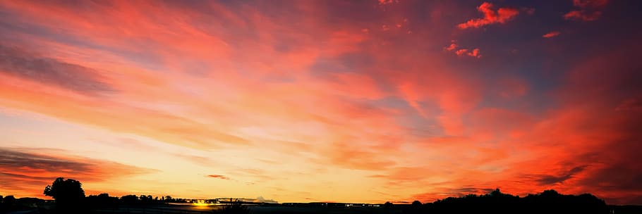 Silhouette Photography of Trees, backlit, clouds, dark, dawn HD wallpaper