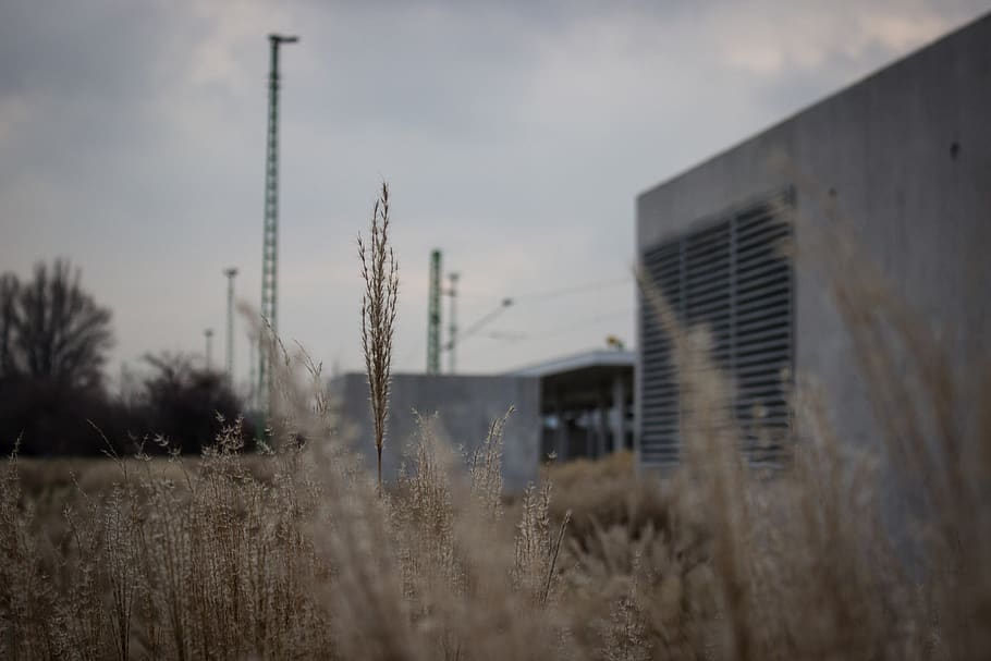 grey, autumn, winter, gray, concrete, built structure, architecture HD wallpaper