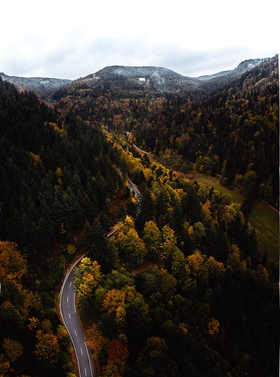 empty road between forest, mountain, autumn, landscape, halloween HD wallpaper