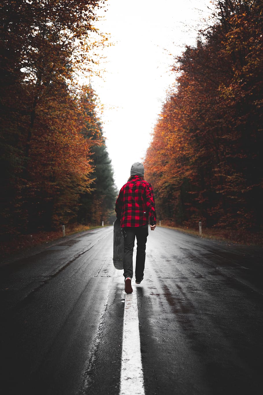 person walking on road, rear view, tree, direction, full length HD wallpaper