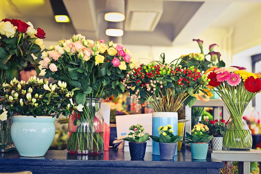A flower shop display section with variety of flowers and plants on the table during the day time, HD wallpaper