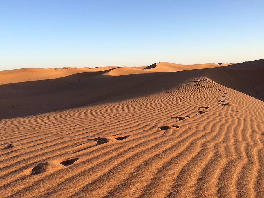 desert, sand, sand dune, landscape, scenics - nature, environment HD wallpaper