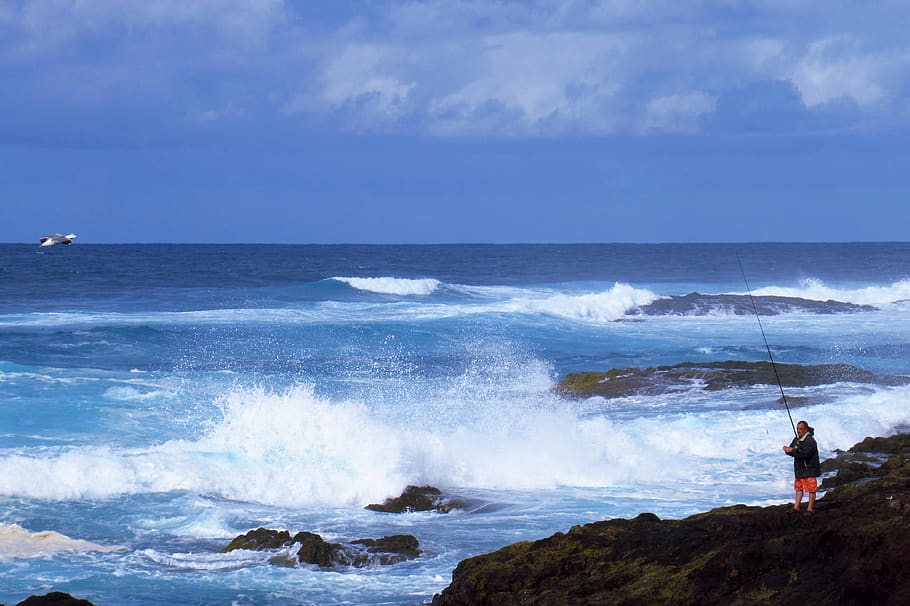 blue, ocean, waves, sea, water, fishing, bird, volcanic, nature HD wallpaper