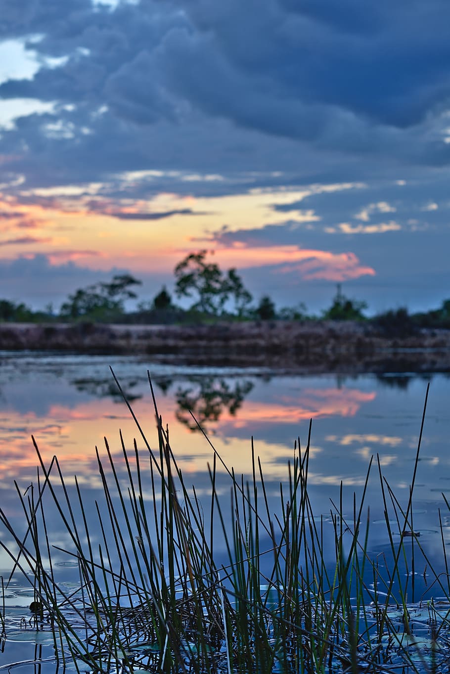 grass, pond, sunset, lake, dusk, landscape, vertical, clouds HD wallpaper