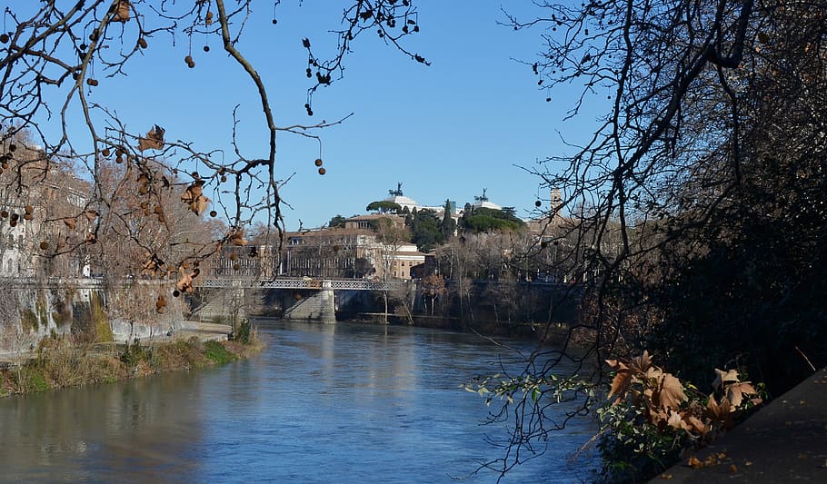 rome, river, tiber, bridge, winter, view, autumn, cold, water HD wallpaper