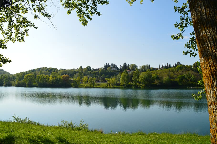 plant, tree, water, sky, lake, tranquility, beauty in nature HD wallpaper