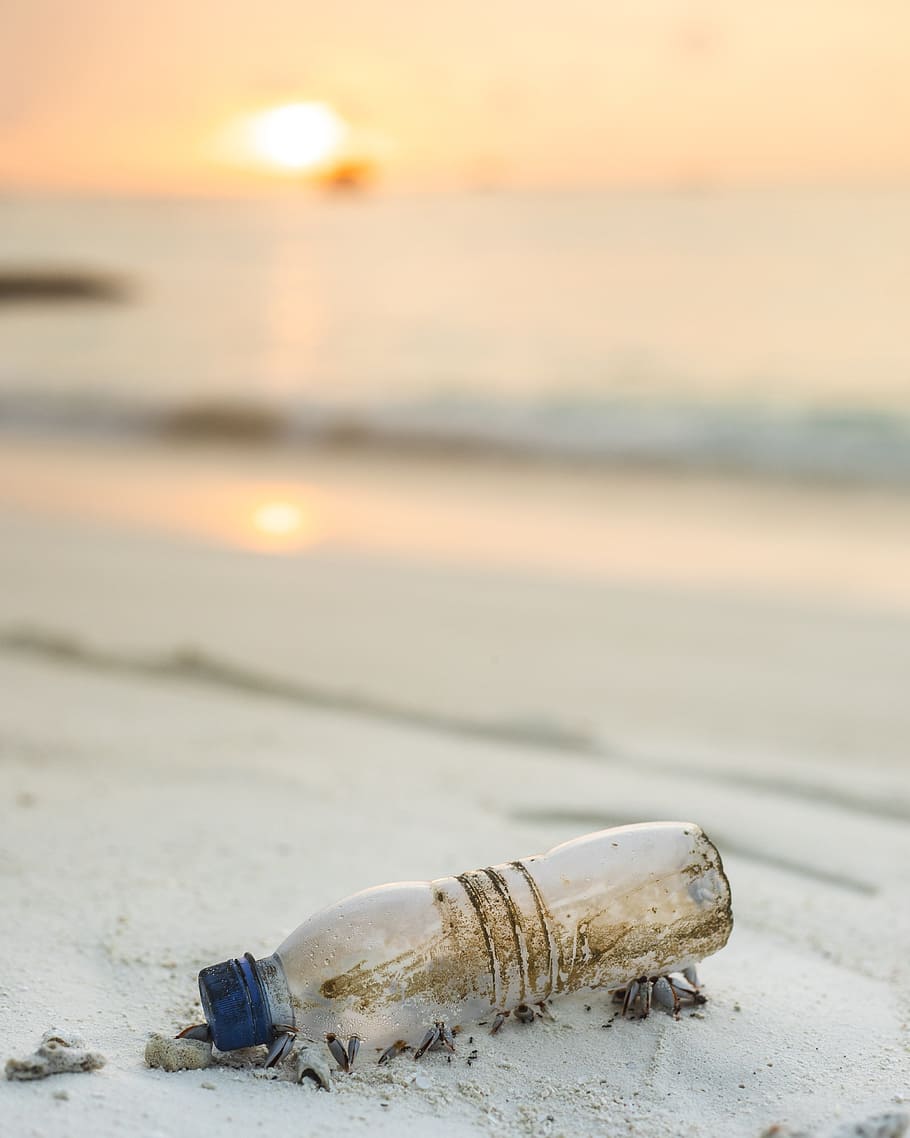 clear plastic bottle beside beach, sun, horizon, sky, sand, shore HD wallpaper