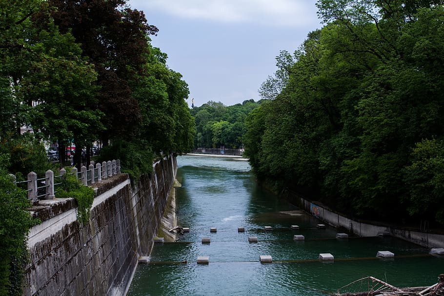munich, germany, city, water, green, park, tree, plant, nature HD wallpaper