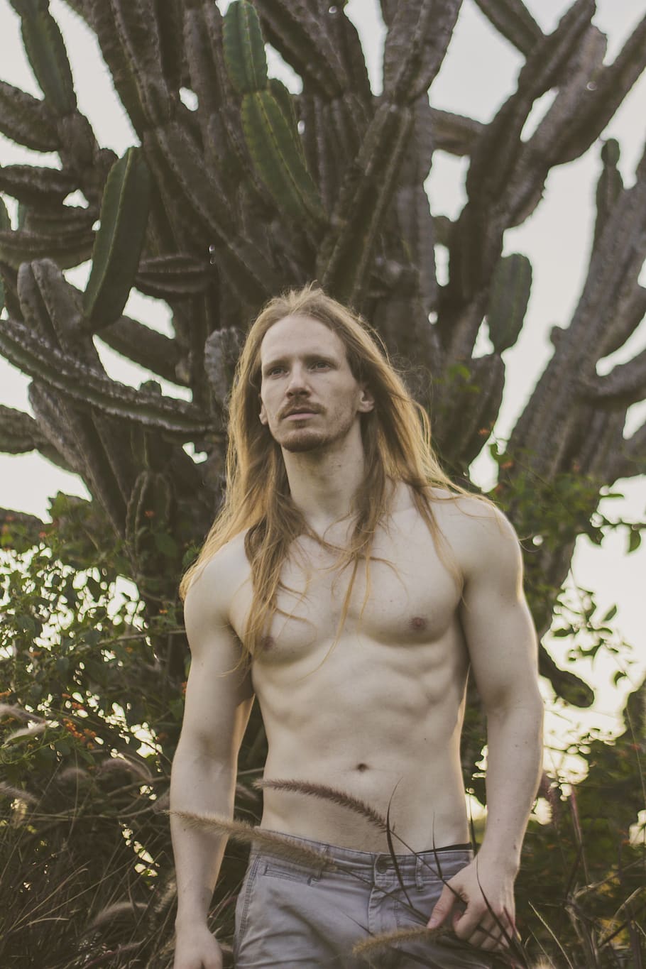 Man Standing Near Cactus, model, person, shirtless, young, one person HD wallpaper