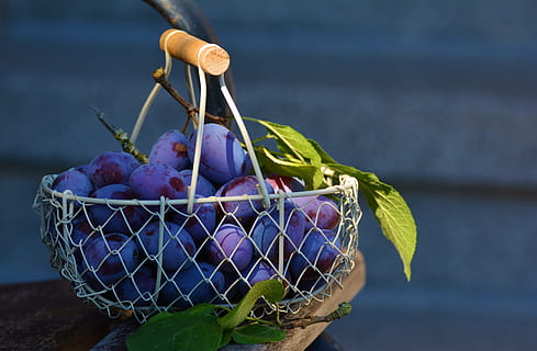 Plum basket, blue, fresh, fruit, leaves, plums, healthy eating HD wallpaper