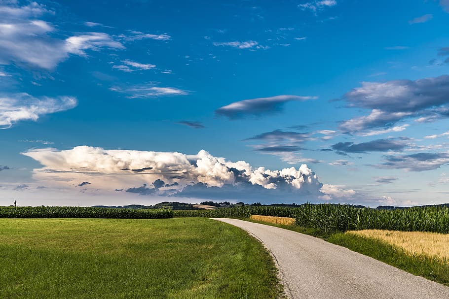 Gray Concrete Road Near Grass Field, beautiful, blue, blue sky HD wallpaper
