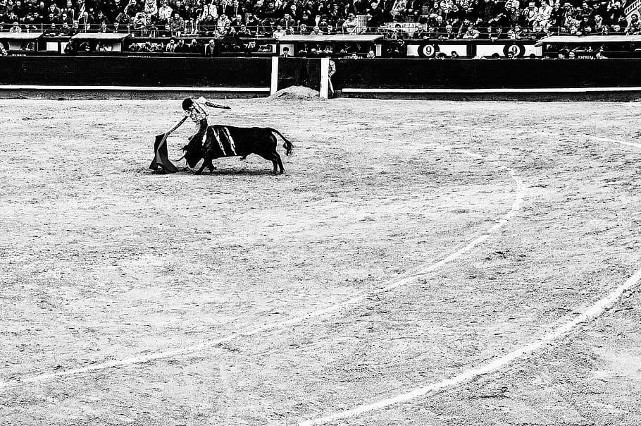 Hd Wallpaper Spain Madrid Plaza De Toros De Las Ventas - 