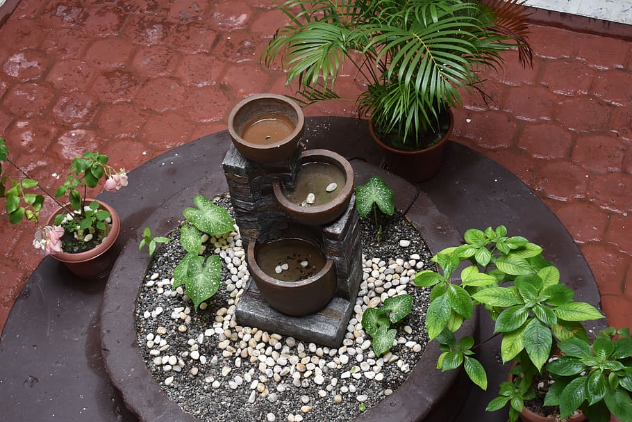 plant, potted plant, plant part, leaf, no people, growth, high angle view HD wallpaper