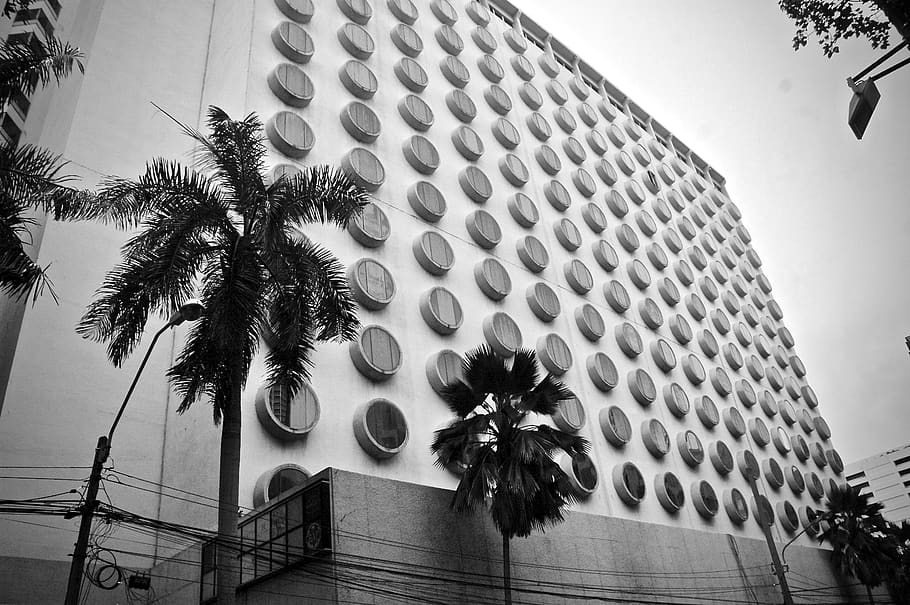 tropical climate, palm tree, plant, low angle view, architecture HD wallpaper