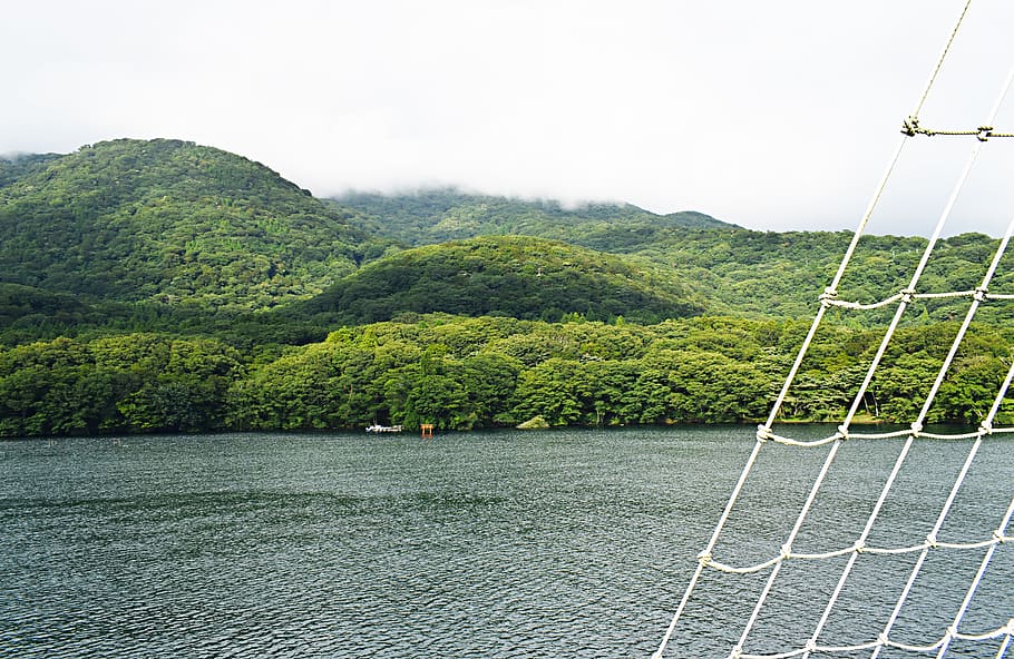 japan, landscape, scenics - nature, water, plant, tree, beauty in nature HD wallpaper