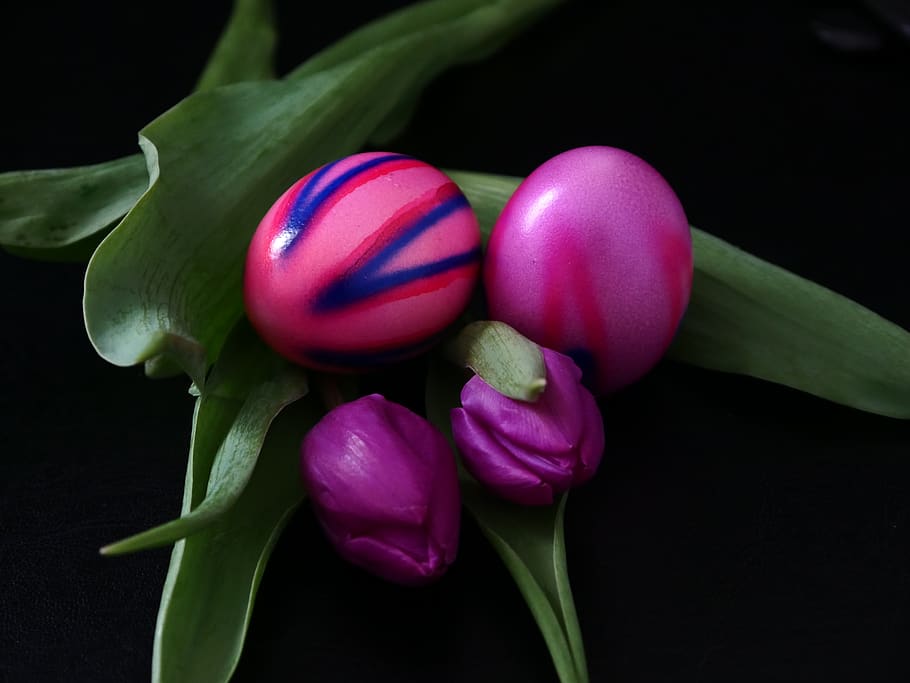 easter, easter eggs, colorful, colored, spring, easter theme HD wallpaper