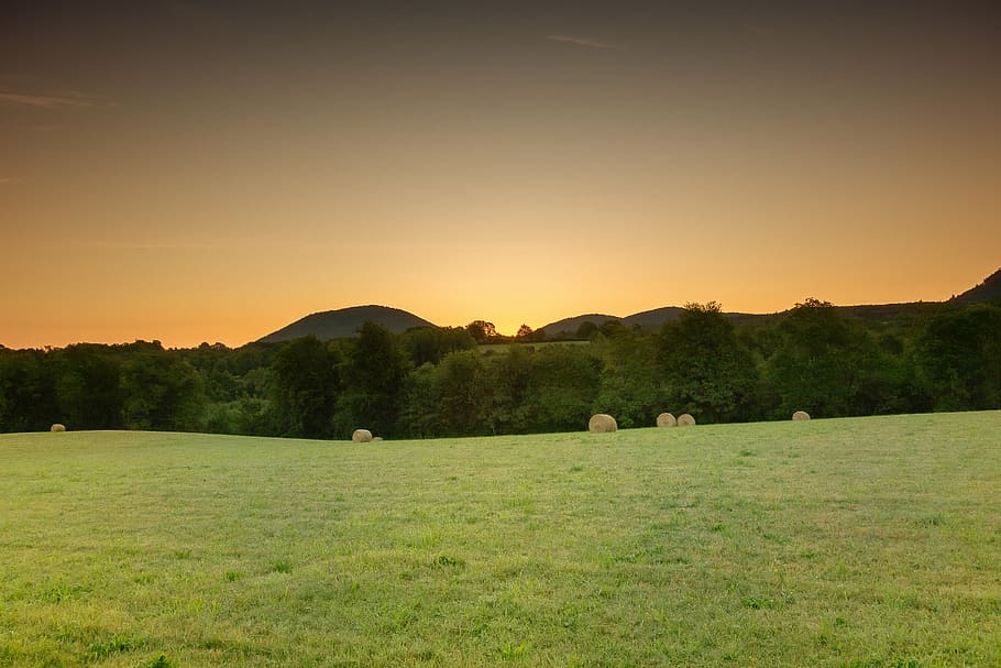 field, fields, prairie, hill, agriculture, rural, landscape HD wallpaper