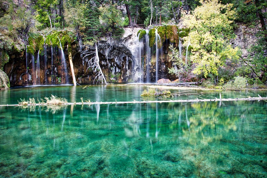 united states, hanging lake, trees, forest, oasis, spring, summer, HD wallpaper