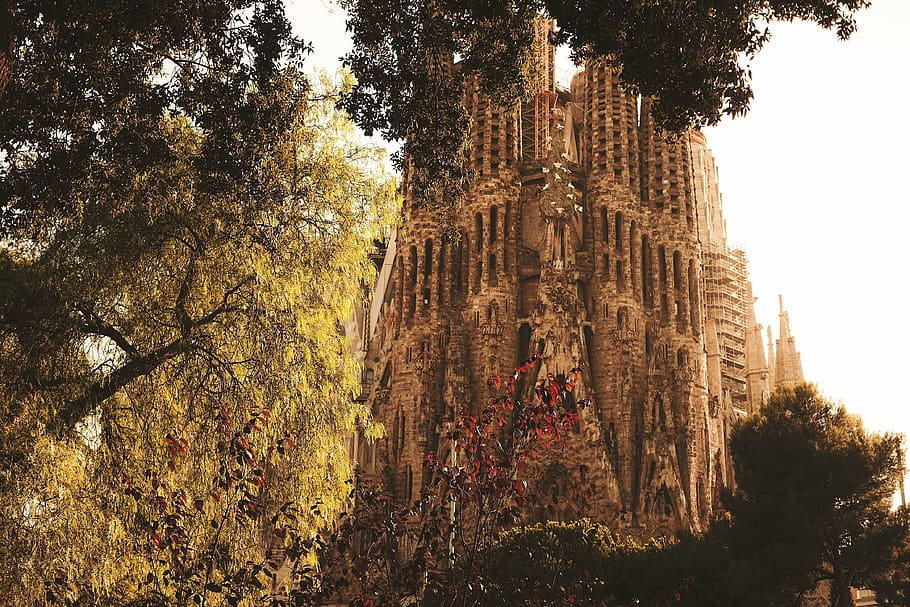 barcelona, spain, la sagrada familia, vsco, travel, architecture