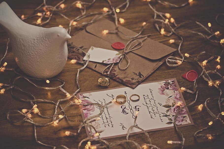 white dove figurine surrounded by string lights on table, celebration HD wallpaper