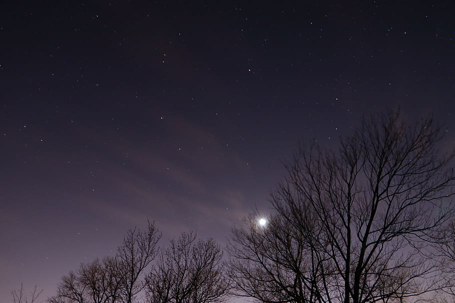 nature, outdoors, night, starry sky, space, astronomy, universe HD wallpaper