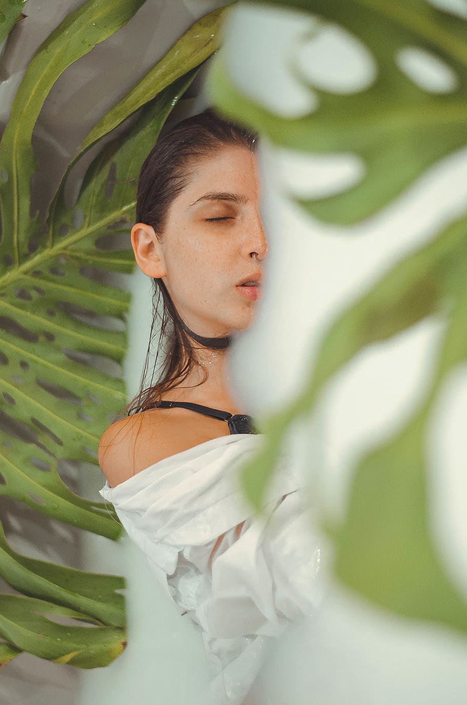 Woman Wearing White Top Standing Near Leaf, beautiful, cute, elegant HD wallpaper