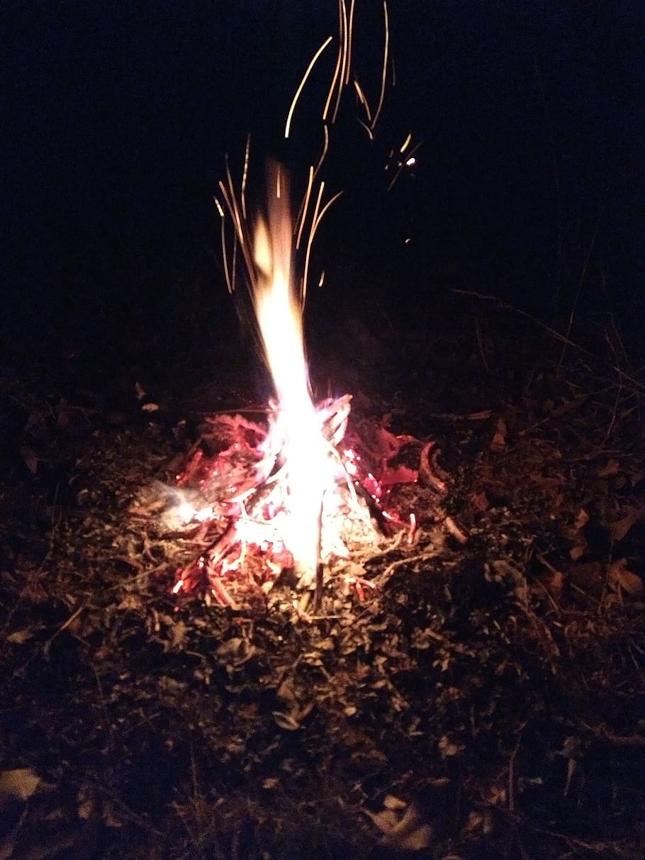 party, night, fire, campfire, burning, flame, heat - temperature HD wallpaper