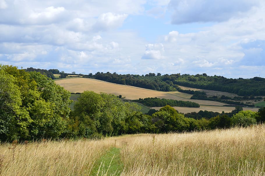 field, grass, sky, clouds, blue, landscape, outdoor, rural HD wallpaper