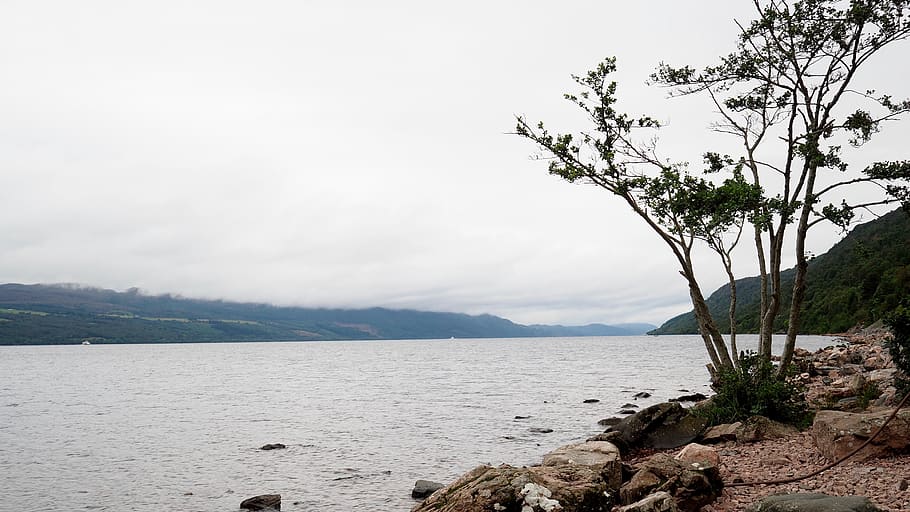 loch ness, clouds, united kingdom, lake, scotland, tree, water HD wallpaper