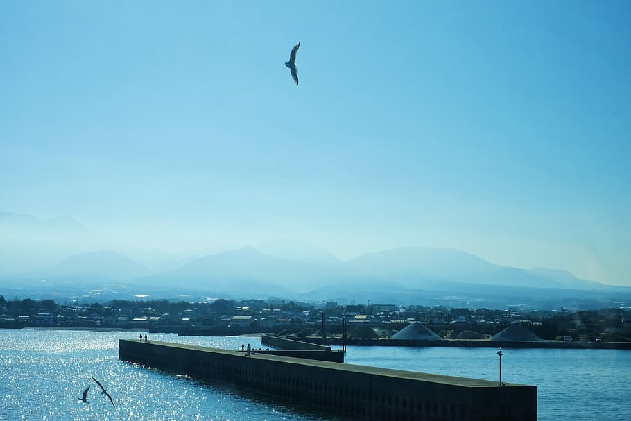 ocean, sea, blue, sky, bird, water, nature, vertebrate, mountain HD wallpaper