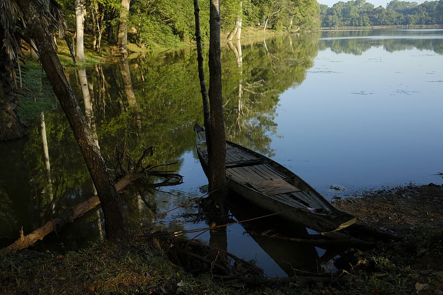 forest, sun, light, time, refection, sky, yellow, gree, boat HD wallpaper