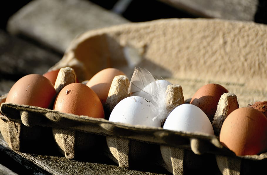 egg, hen's egg, bio, organic eggs, food, nutrition, eggshell, HD wallpaper