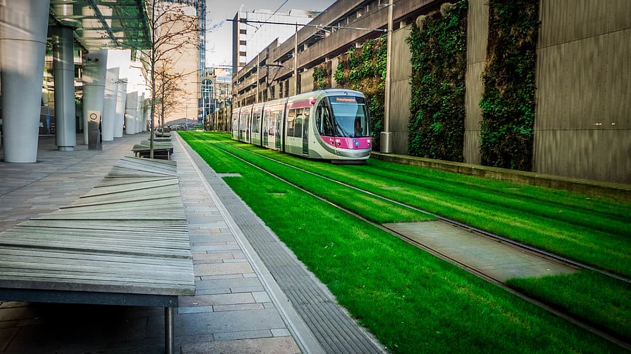 tram, city, urban, tree, laidback, green, grass, park, carpark, HD wallpaper