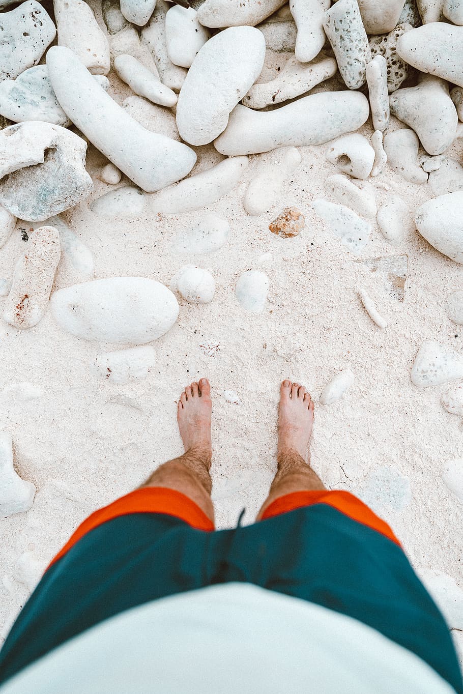 person standing on sand, low section, human leg, body part, human body part HD wallpaper