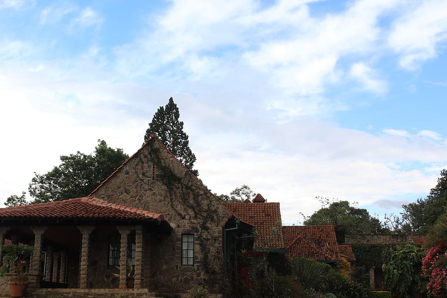 kenya, house, trees, built structure, architecture, building exterior HD wallpaper